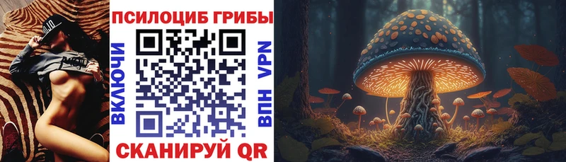 как найти закладки  Сертолово  Псилоцибиновые грибы прущие грибы 