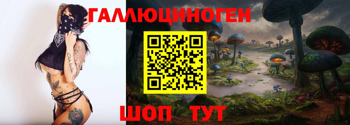 Псилоцибиновые грибы мицелий Сертолово